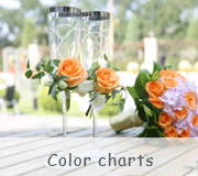 Color chart
