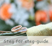 Steg fr steg-guide
